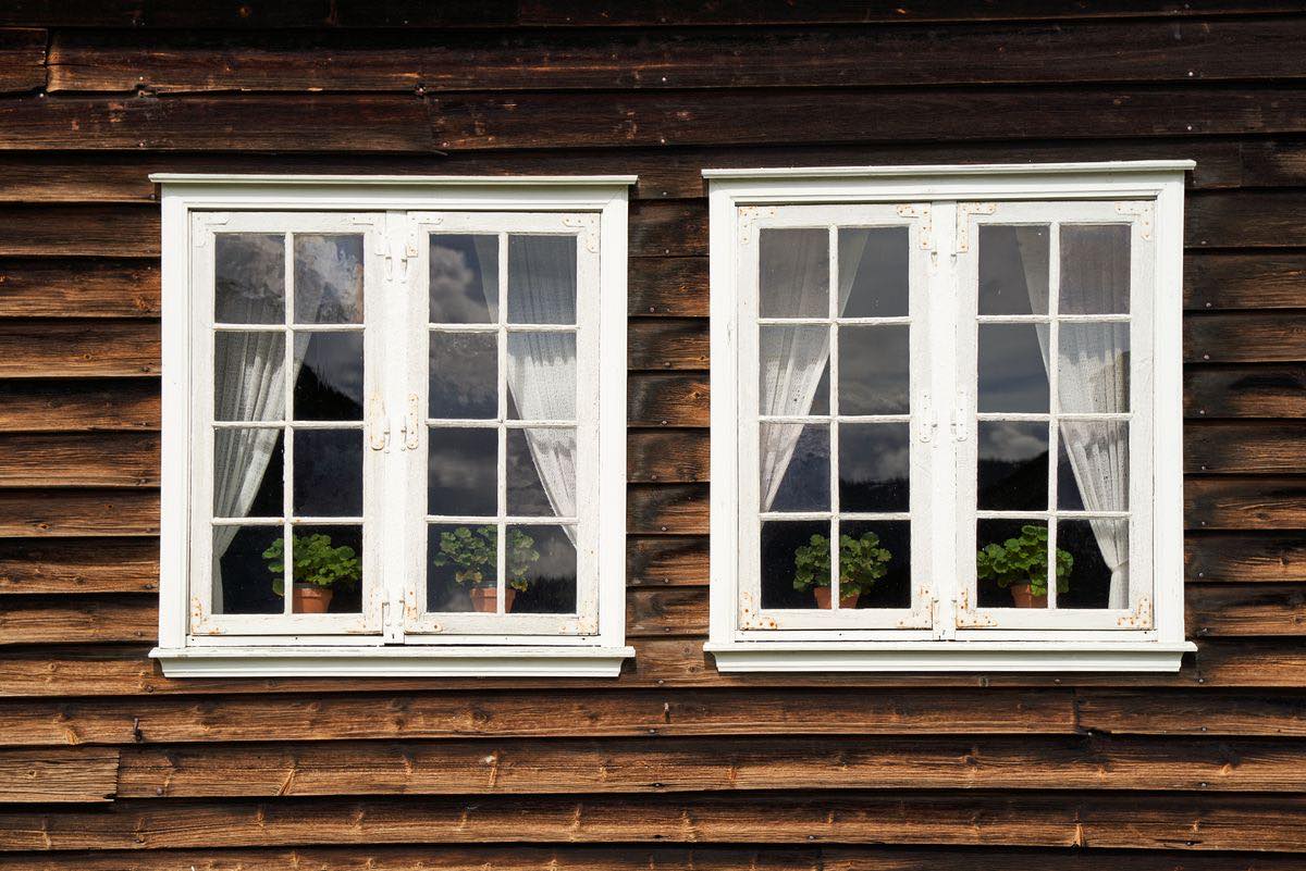 Two white-framed windows with small panes set in a wall of dark horizontal timber boards.