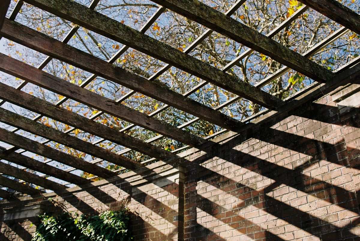 Looking up at a timber pergola with rafters laid across the beams, open to the sky, beside a brick wall.
